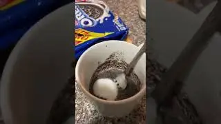 Best Oreo Mug Cake 