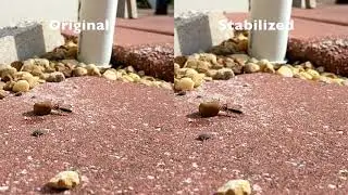 Google Photo Video Stabilization Example