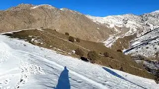 Карышкыр журуптур Айылдын четинен бугун кечее