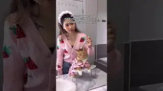 Ginger loveeesss those face rubs 🥹💓#catshorts #shortvideo #matchmyfreak #catspa #shorts