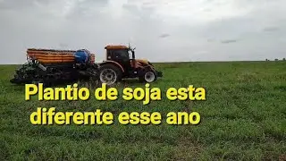 Início do plantio de soja safra 24/25