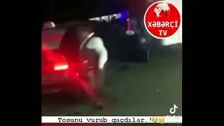 tosunu vurub qacdilar