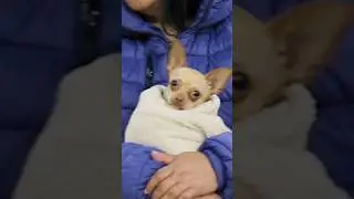 Lo que uno se encuentra 😂😂