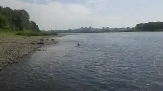 ВОСВОД Кузбасса. Дети без присмотра взрослых.
