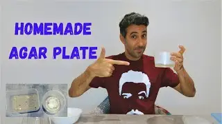 How to make Agar plates at home. Easy and quick!