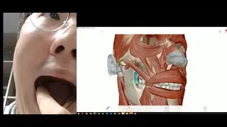 턱관절. 혼자서 치료할 수 있습니다.