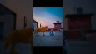 Fox 🦊 k sath creative mobile📱 photography ideas 💡#edit #ngvpictures #photography #trendingshorts