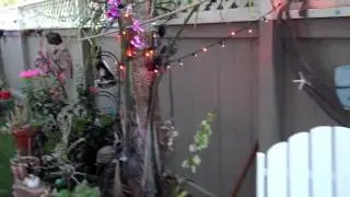 Room Rental Video - Oceanside