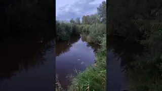 река каргат