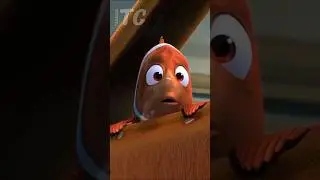 TEORIA oscura de BUSCANDO A NEMO