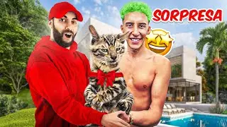 REGALO UN CUCCIOLO DI BENGALA A MONEY NELLA STREAMHOUSE 3.0