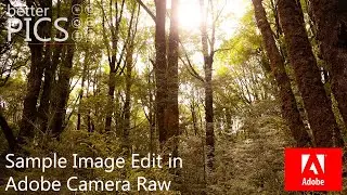 Sample Edit: Texture and Colour 