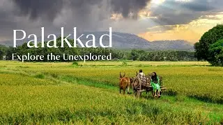 5 Must-Visit Places in Palakkad | Kerala Tourism  
