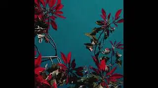 Free Storytelling Type Beat / 