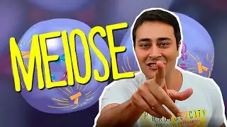 MEIOSE - DIVISÃO CELULAR - Prof. Paulo Jubilut