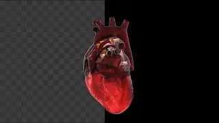 Human Heart Smoke Loop Animation With Background Transparent