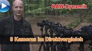 Dynamik im RAW-Format - 8 Kameras im Vergleich