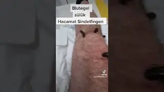 20. Oktober 2022