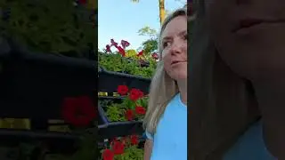 Где встретить закат! 🔥🔥 #shorts #short #shortvideo #shortsvideo #belarus #беларусь #travel #гродно