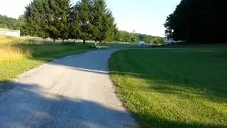 Teddy and sunny near lake 1/5