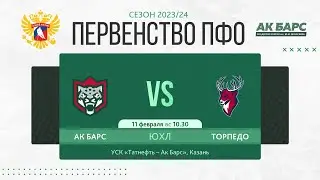 ХК Ак Барс (г. Казань) - ХК Торпедо  (г. Нижний Новгород)