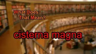 What does cisterna magna mean?