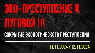 11-12.11.2024г. Фиксация сокрытия сброса мусора в Научном городке   Луговая