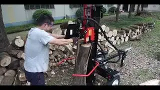RELYARD 6.5HP 22TON GASOLINE HYDRAULIC HORIZONTAL/ VERTICAL LOG SPLITTER