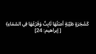 أَلَمْ تَرَ كَيْفَ ضَرَبَ اللَّهُ مَثَلًا -شاشة سوداء-كروما سوداء- تحميل مجاني بدون حقوق