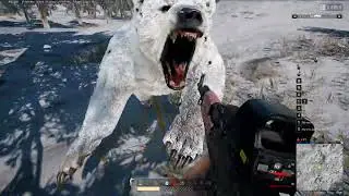 Схватка с медведем в PUBG