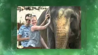 Elephant Nature Park Thailand