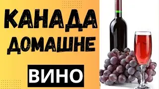 Как сделать вино без винограда? Домашнее вино. Вино в Канаде дешево.