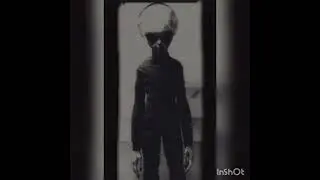 Kira - GRIS
