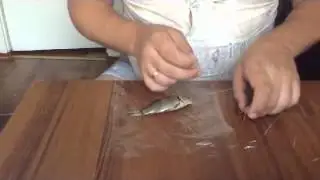 Оснастка для ловли хищника на живца