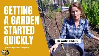 Getting a Garden Started Quickly