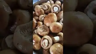 ЛЕСНОЕ МЯСО - БЫЧКИ... ЛЮБИМЫЙ СЫРОЙ ГРУЗДЬ