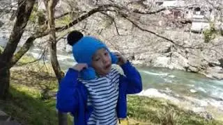 🧡💜Japan trip 11-15 April 19 🧡💜(1)