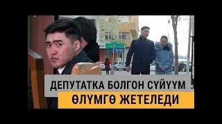 “Депутат жан дүйнөмдү тоңдуруп кетти“