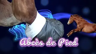 Comment soigner un ABCES de pied chez le CHEVAL - valable pour un clou de rue …