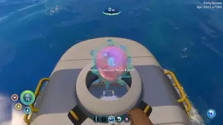 Nautical Nonsense