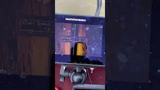 Adjusting THIS makes a BIG difference! (Humminbird Helix SI TIP!)