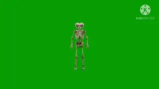 Skeleton dance green screen video