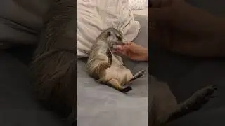 Рабы, воды мне!!