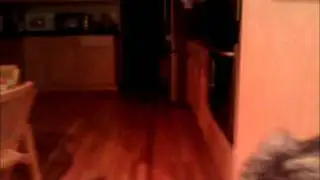 KittyFetch.wmv