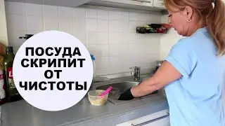 После использования этого средства вся ПОСУДА просто скрипит от ЧИСТОТЫ
