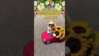 Август- лето!!!
