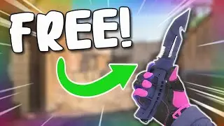 Survival Knife | Night Stripe GIVEAWAY (5,000 Subscribers)