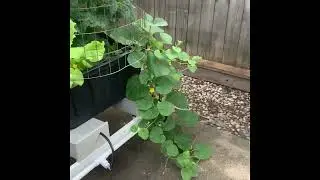 Riverponics Growing Systems in 2024
