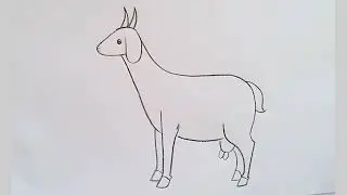 how to draw goat drawing easy step by step