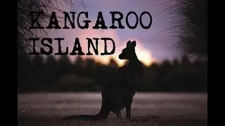 DALE  |   KANGAROO ISLAND |  NAVIGATION TRAINING